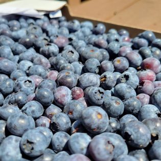 Organic Blueberries